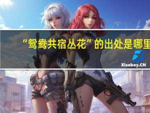 “鸳鸯共宿丛花”的出处是哪里