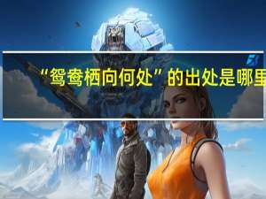 “鸳鸯栖向何处”的出处是哪里