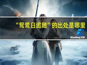 “鸳鹭日追随”的出处是哪里