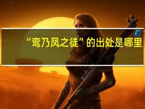 “鸾乃凤之徒”的出处是哪里
