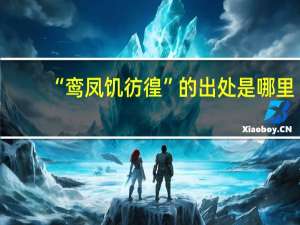 “鸾凤饥彷徨”的出处是哪里