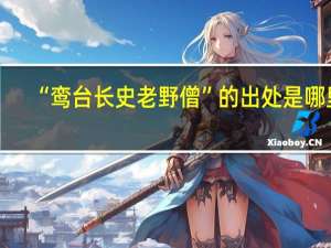 “鸾台长史老野僧”的出处是哪里
