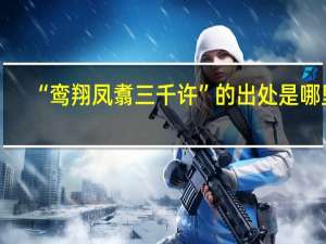 “鸾翔凤翥三千许”的出处是哪里