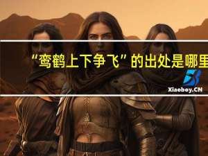 “鸾鹤上下争飞”的出处是哪里