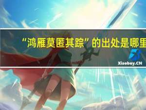 “鸿雁莫匿其踪”的出处是哪里
