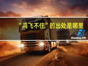 “鸿飞不住”的出处是哪里