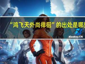 “鸿飞天外尚徘徊”的出处是哪里