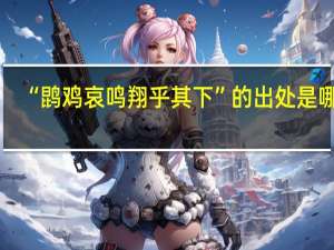 “鹍鸡哀鸣翔乎其下”的出处是哪里