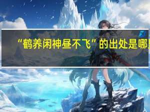 “鹤养闲神昼不飞”的出处是哪里