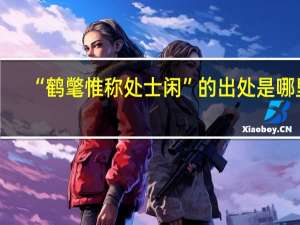 “鹤氅惟称处士闲”的出处是哪里
