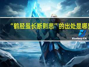 “鹤胫虽长断则悲”的出处是哪里