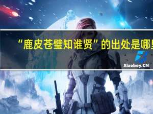 “鹿皮苍璧知谁贤”的出处是哪里
