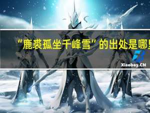 “鹿裘孤坐千峰雪”的出处是哪里