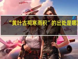 “黄叶古祠寒雨积”的出处是哪里