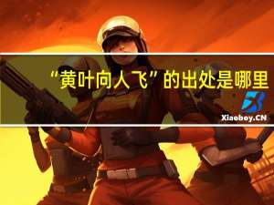 “黄叶向人飞”的出处是哪里