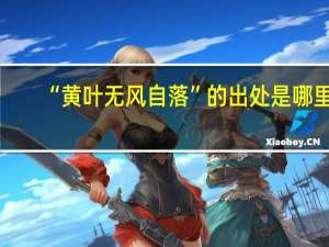 “黄叶无风自落”的出处是哪里