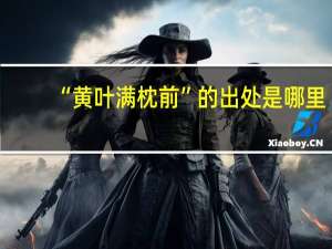 “黄叶满枕前”的出处是哪里