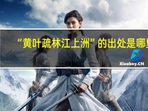 “黄叶疏林江上洲”的出处是哪里