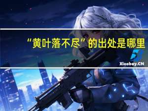 “黄叶落不尽”的出处是哪里