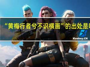 “黄梅行者兮不识横画”的出处是哪里