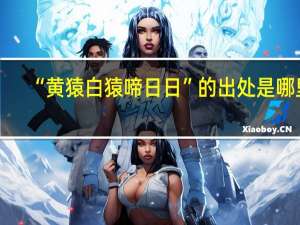 “黄猿白猿啼日日”的出处是哪里