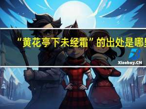 “黄花亭下未经霜”的出处是哪里