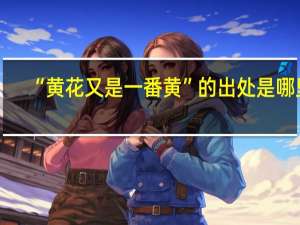 “黄花又是一番黄”的出处是哪里
