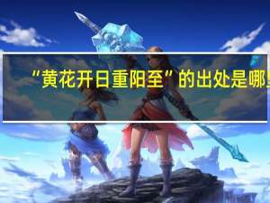 “黄花开日重阳至”的出处是哪里