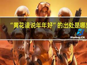“黄花谩说年年好”的出处是哪里