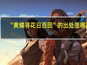 “黄蝶寻花日百回”的出处是哪里