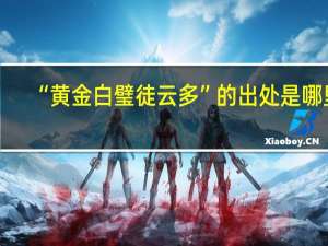 “黄金白璧徒云多”的出处是哪里