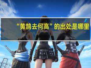 “黄鹄去何高”的出处是哪里