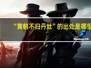 “黄鹤不归丹灶”的出处是哪里
