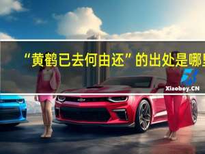 “黄鹤已去何由还”的出处是哪里