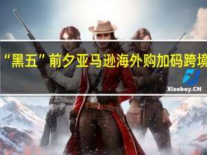 “黑五”前夕 亚马逊海外购加码跨境物流：首个前置保税仓落地宁波