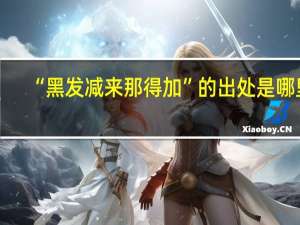 “黑发减来那得加”的出处是哪里