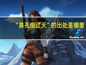 “鼻孔廓辽天”的出处是哪里