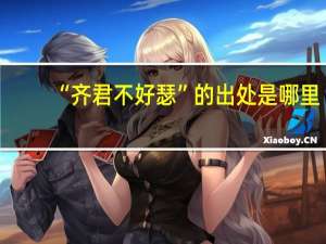 “齐君不好瑟”的出处是哪里