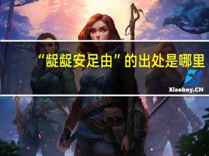 “龊龊安足由”的出处是哪里