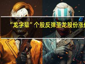 “龙字辈”个股反弹 圣龙股份涨停