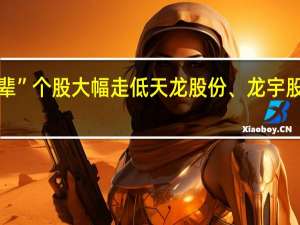 “龙字辈”个股大幅走低 天龙股份、龙宇股份双双跌停