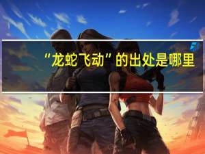 “龙蛇飞动”的出处是哪里