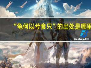 “龟何以兮食只”的出处是哪里