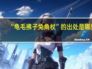 “龟毛拂子兔角杖”的出处是哪里