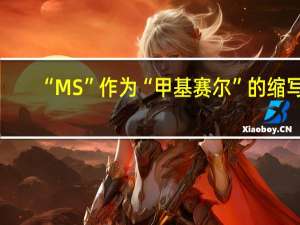 “MS”作为“甲基赛尔”的缩写，其在英语中的应用广泛吗