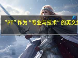 “PT”作为“专业与技术”的英文缩写，其在英语中的应用广泛吗