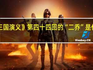 《三国演义》第四十四回的“二乔”是什么意思
