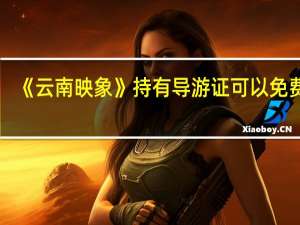《云南映象》持有导游证可以免费吗