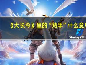 《大长今》里的“熟手”什么意思