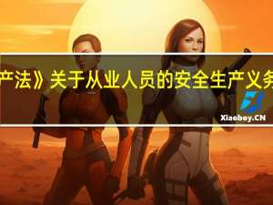 《安全生产法》关于从业人员的安全生产义务主要有哪四项